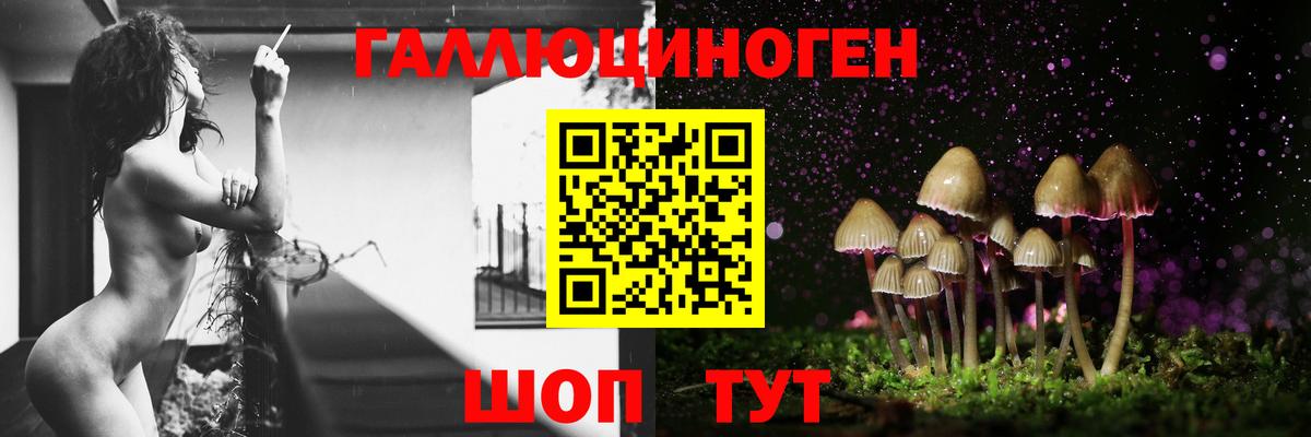 Лесной  Псилоцибиновые грибы мухоморы  Вход с VPN  Галлюциногенные грибы Cubensis 