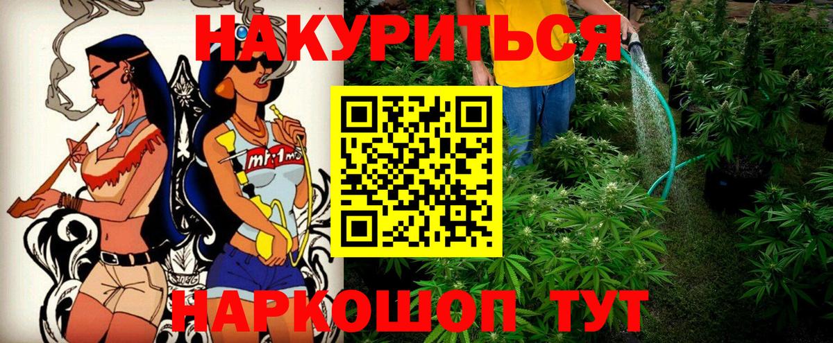 Каннабис индика Лесной